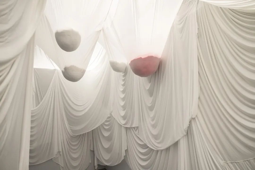 95后女生公开谈性10年:*底卧**戒色吧,勇斗卖卵黑中介