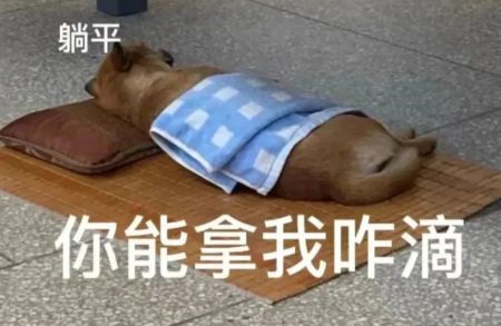 读博的利大还是弊大,读博到底有意义吗