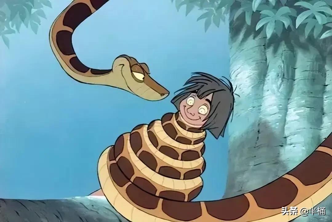 巨型网纹蟒蛇,680斤网纹蟒蛇真实视频