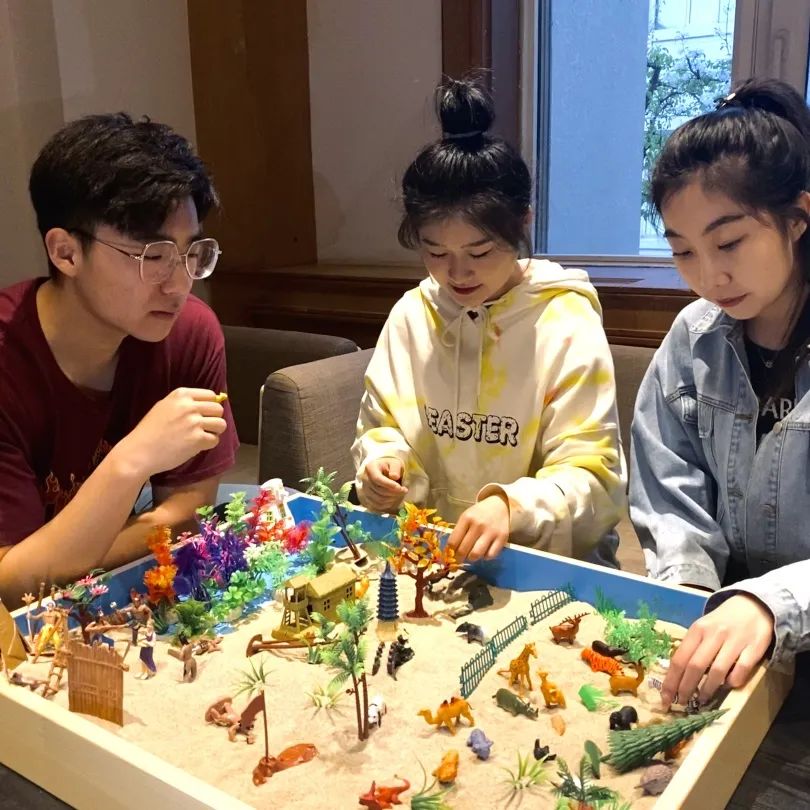 沈阳城市学院心理学学费,沈阳城市学院应用心理专业