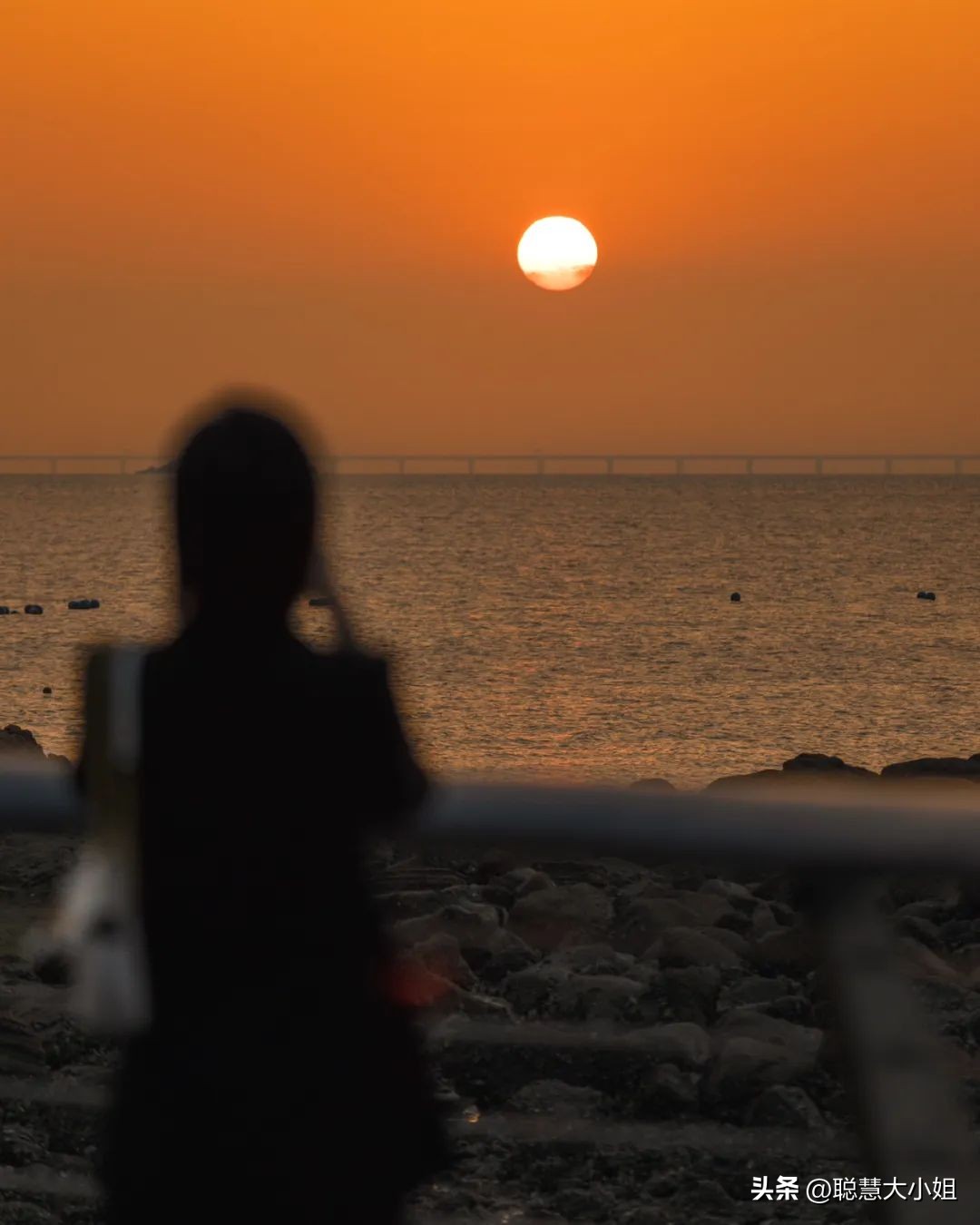 珠海为啥叫百岛之城,珠海有百岛之市的美誉东澳岛