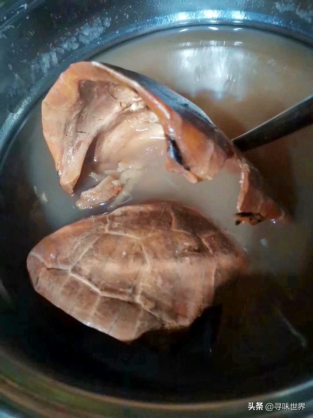 最正宗的龟苓膏配方,制作龟苓膏的详细教程