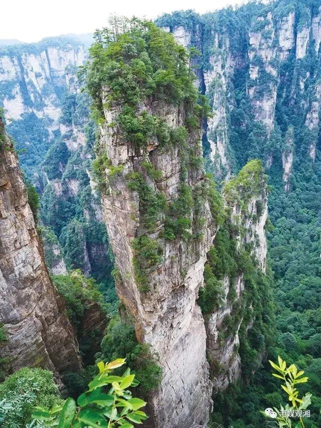 仙境张家界惊艳全世界,张家界的峰林峡谷仙境
