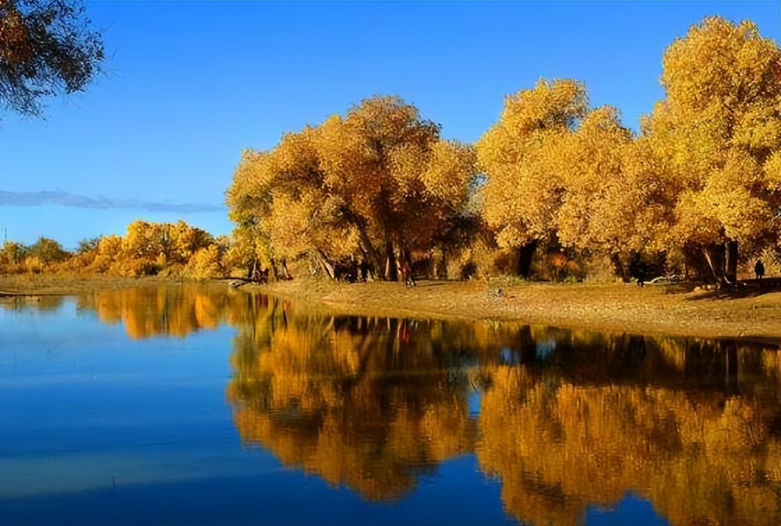 体育竞技小说推荐,好看的体育竞技的小说
