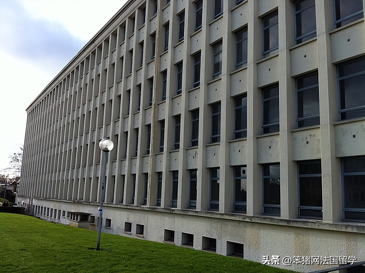 笨猪法语中文,笨猪法语