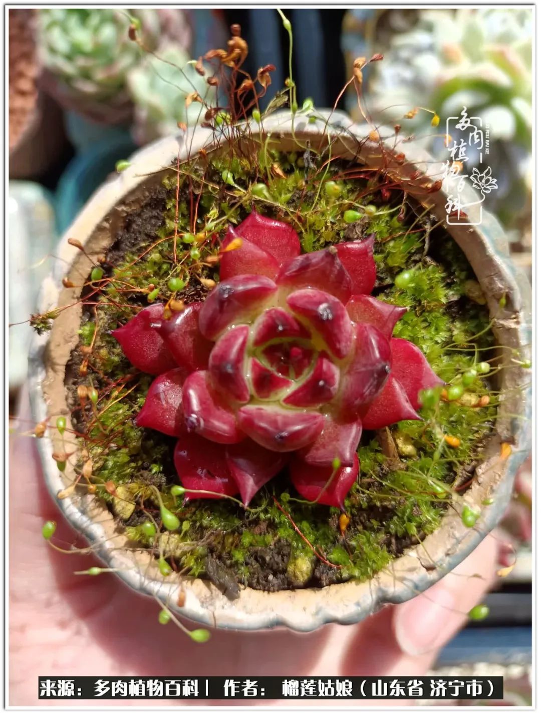 繁花似锦觅安宁淡如流水度一生,繁花似锦觅安宁淡云流水度人生