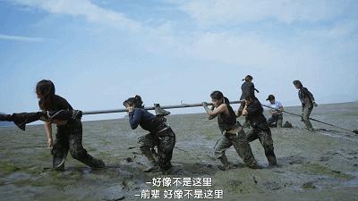 李子柒这半年去哪里了,李子柒消失55天后为何再度爆红