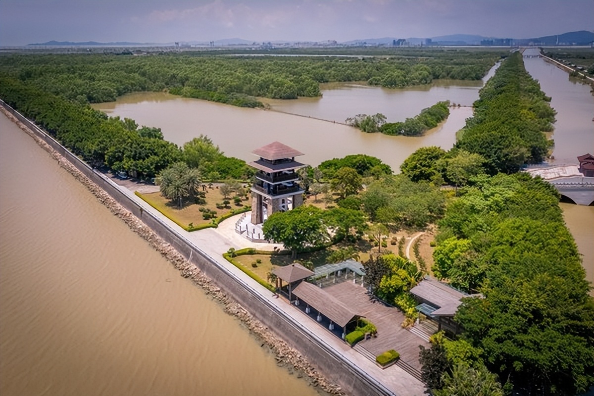 湾区光影魅力,南沙湾区超美风景线