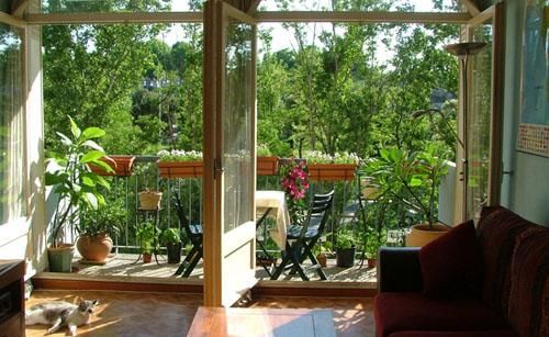 阳台顶部绿植氛围布置,绿植和吊灯氛围感