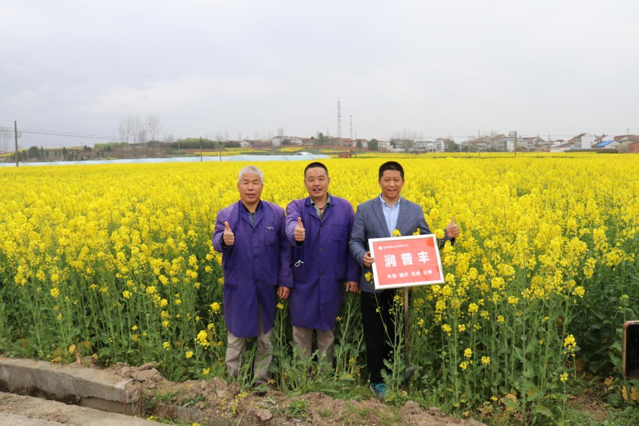 最美“油菜人”|韦世豪：耕耘在油菜田间的“魔法师”