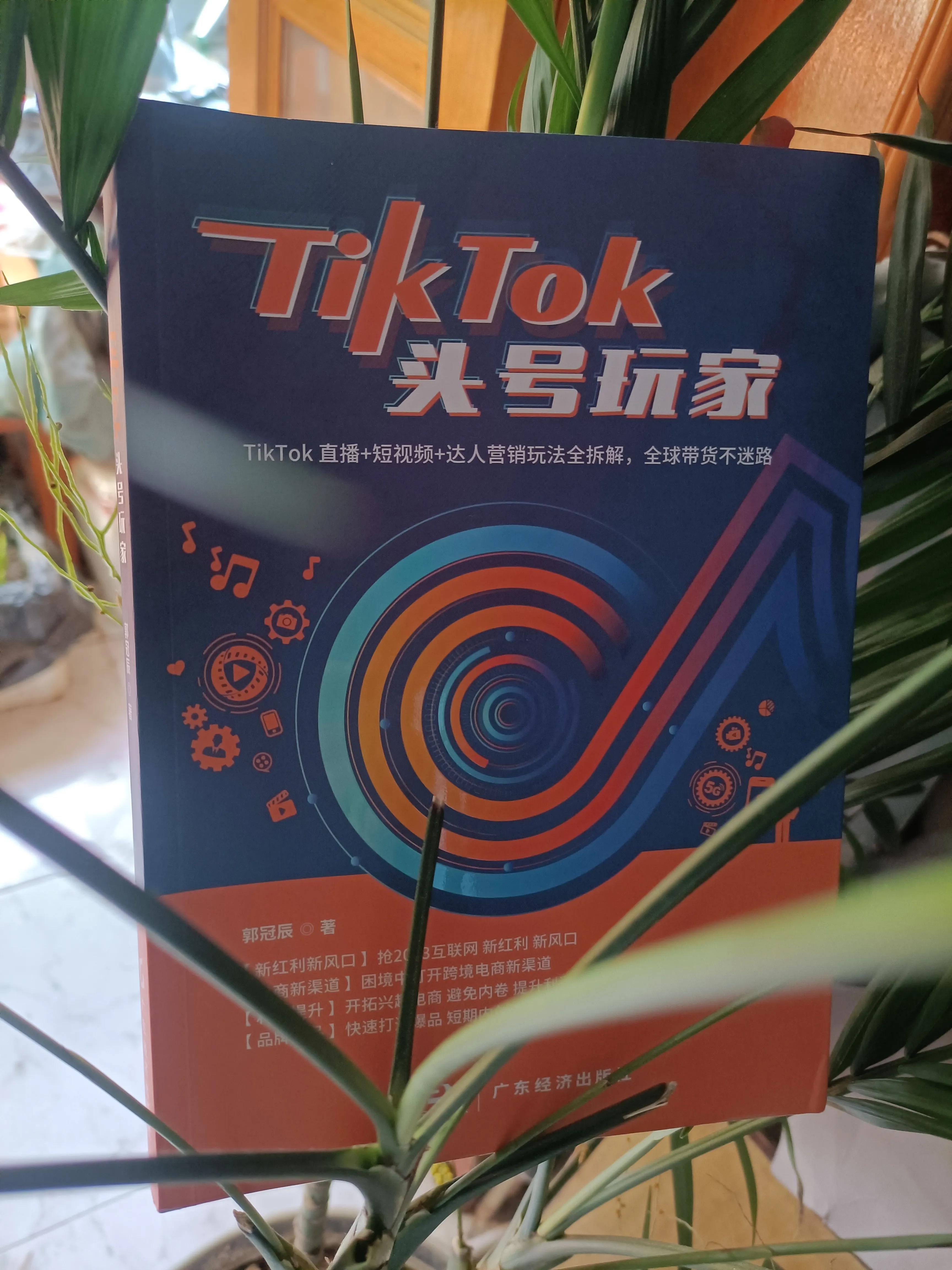 tiktok跨境电商新风口,tiktok跨境电商带货达人怎么合作