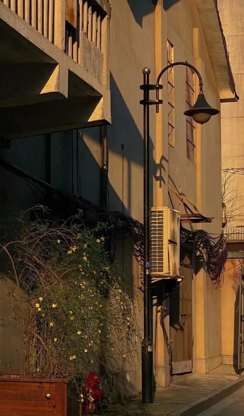 周子然绝美壁纸,高圆圆绝美壁纸