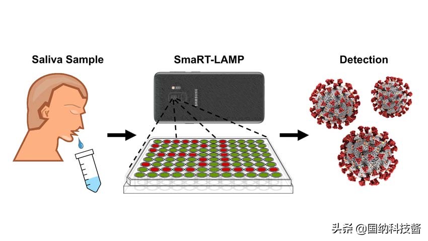 新冠病毒手机也可以测试,手机能检测病毒