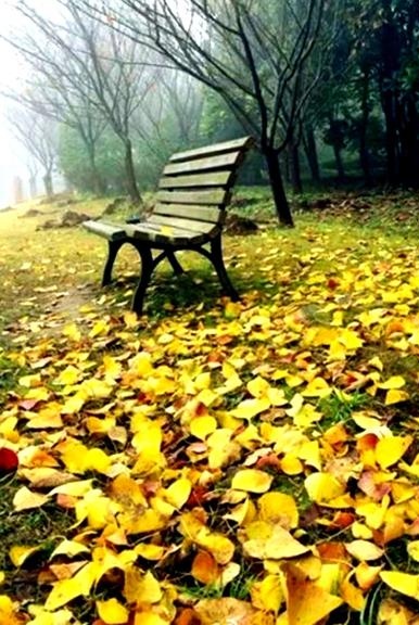 适合一个人安静的散文,散文寻一处心灵的静谧