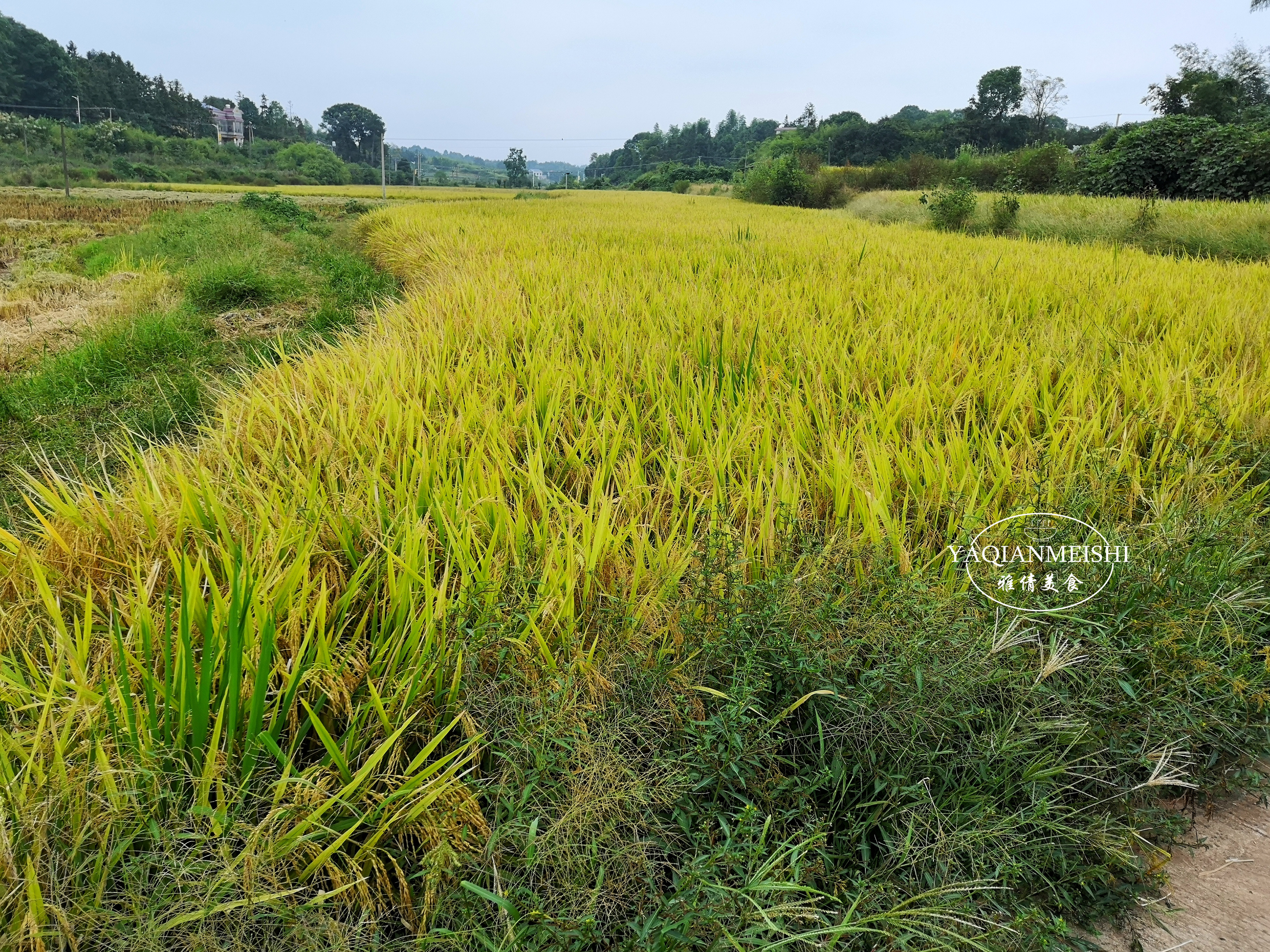 7-8人团购套餐农家乐,美食农家乐推荐团购套餐