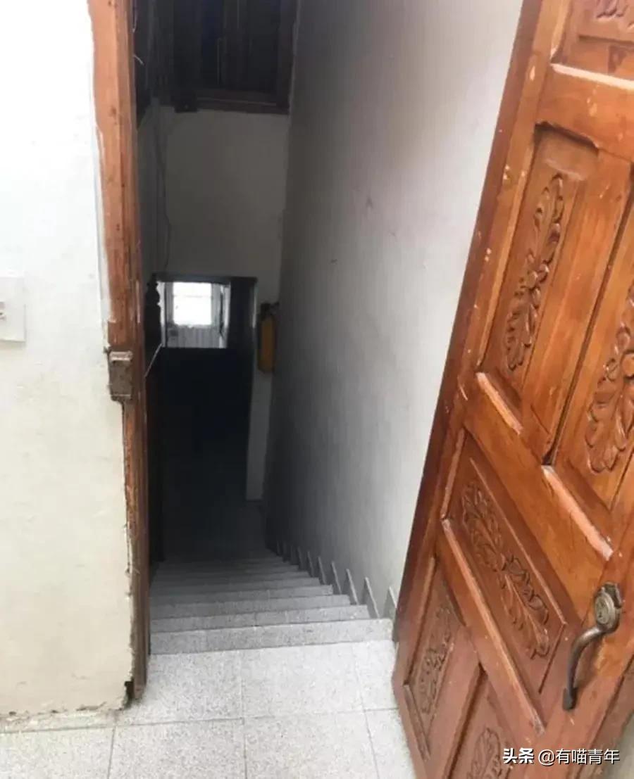 养猫有细菌浪费钱吗,养猫有用吗