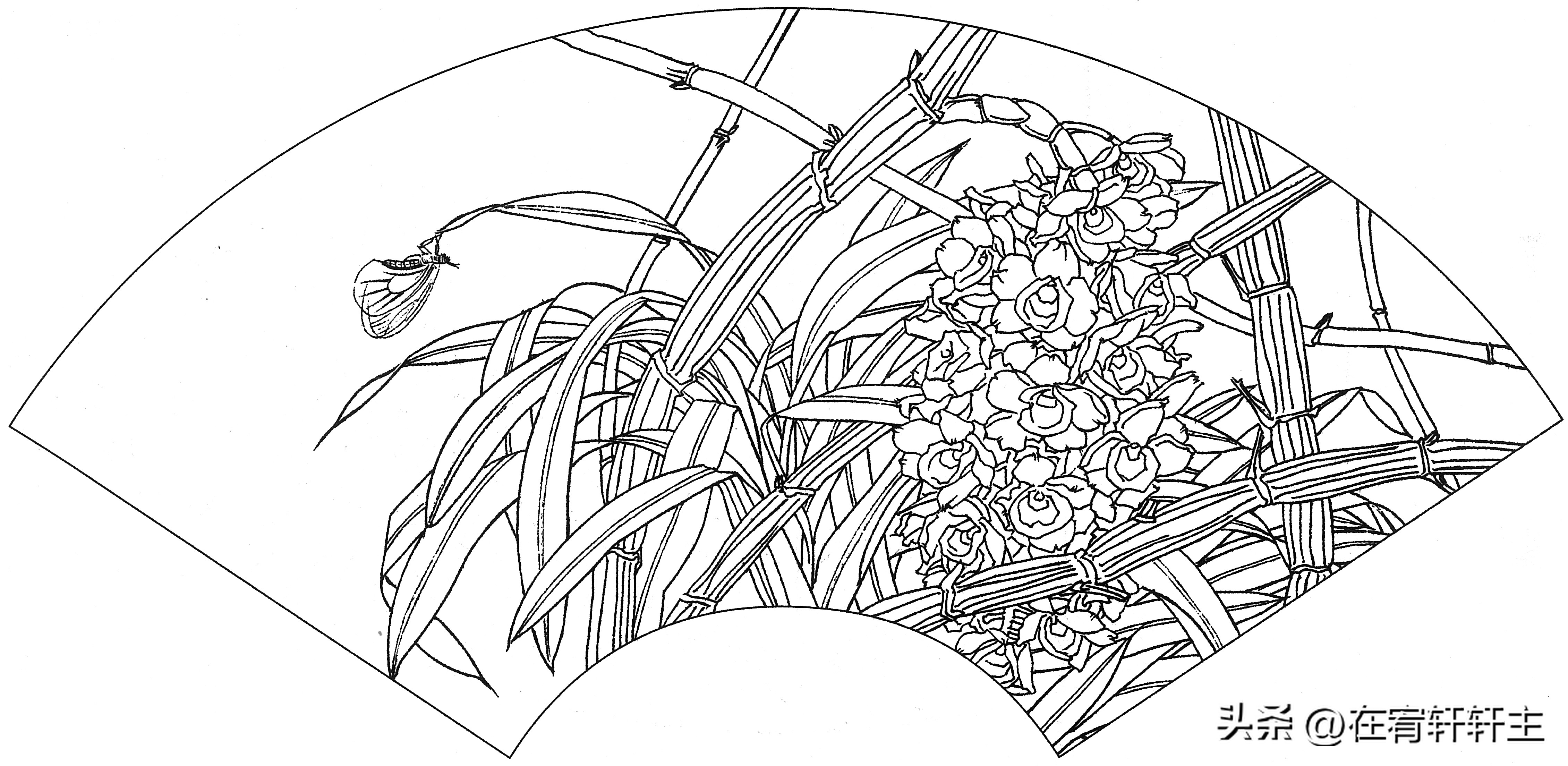 工笔白描祥云图案扇面,工笔扇面葡萄白描图片