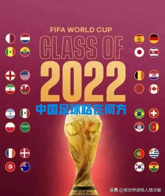 看完世界杯中国足球何去何从,14亿人踢不进世界杯