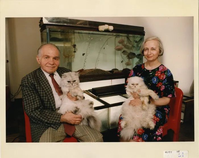 丁克家庭晚年现状,丁克家庭的去世无人知