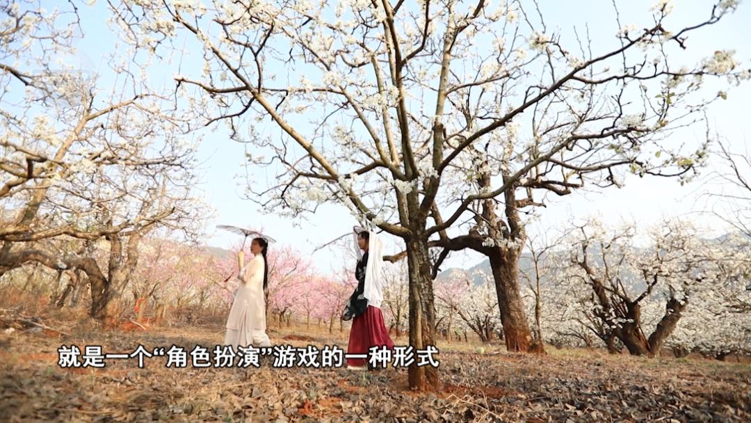 这里又一片花海！周六等你