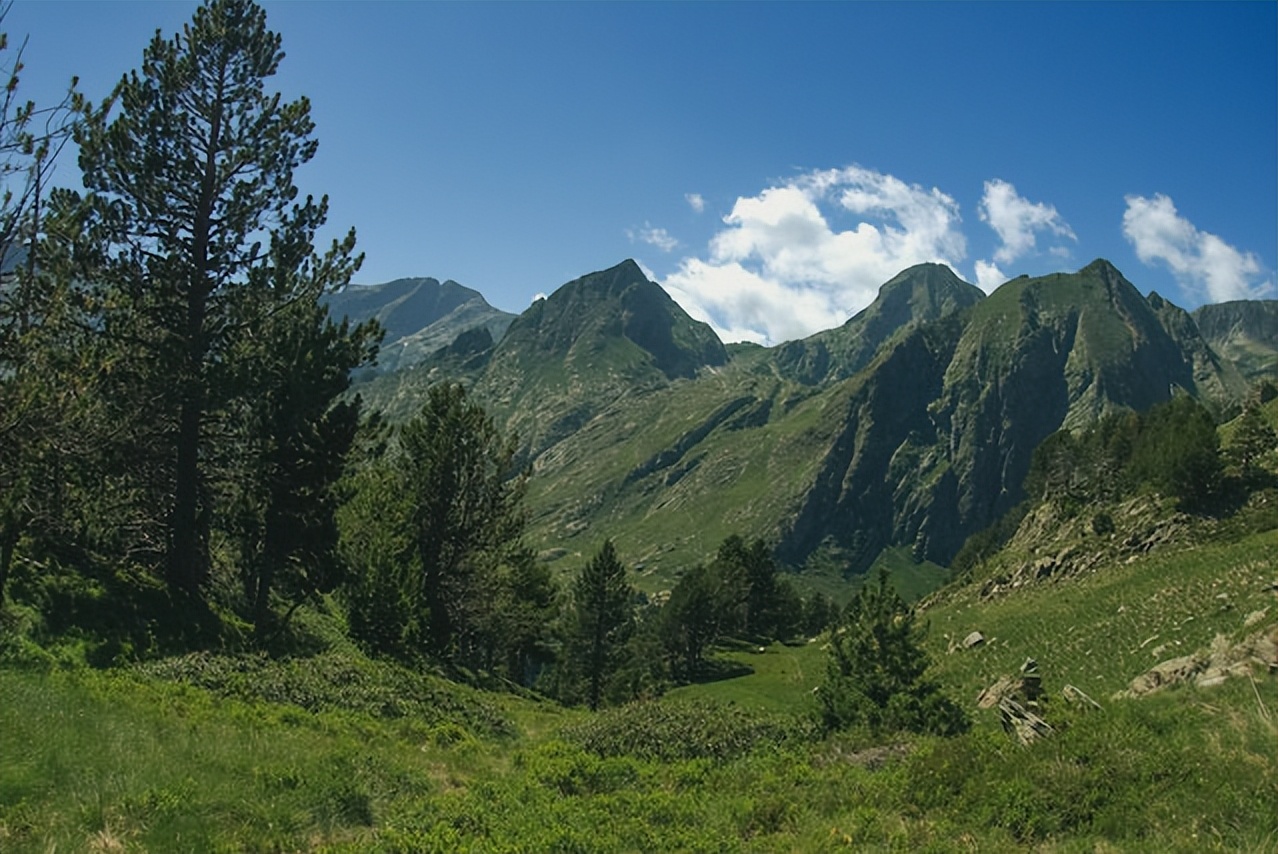 初中物理运动和力中考知识点总结,初中物理沪粤版中考知识点总结
