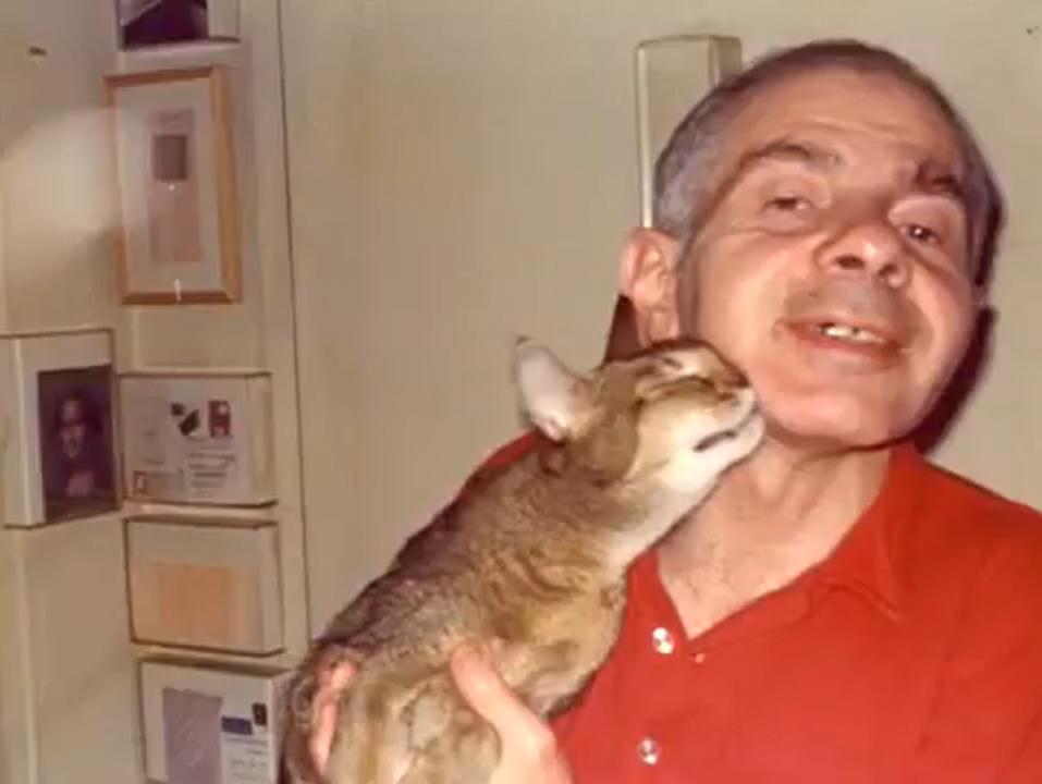 丁克家庭晚年真实生活 (丁克晚年生活纪录片)