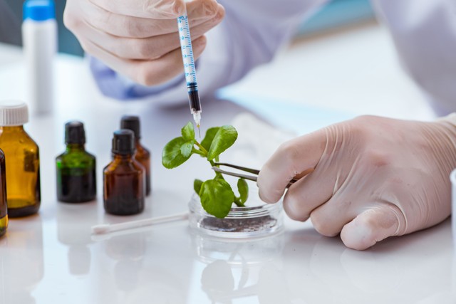 当今社会最火的行业是什么,当下最火的职业有哪些