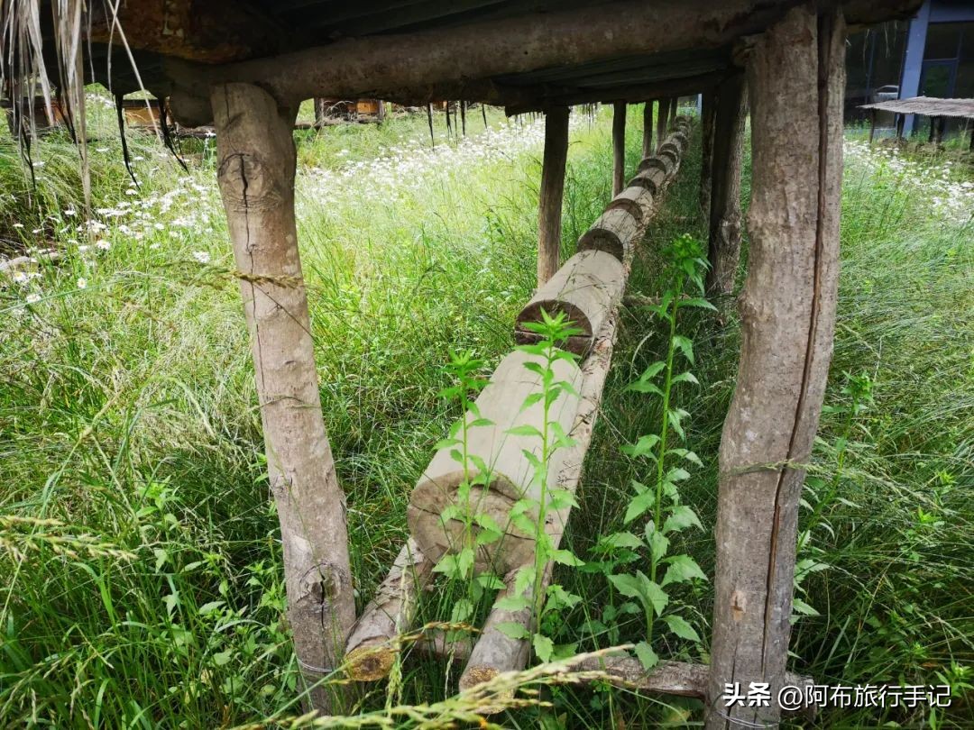 还没来得及去日本，却在秦岭来了趟值回东京票价的旅行