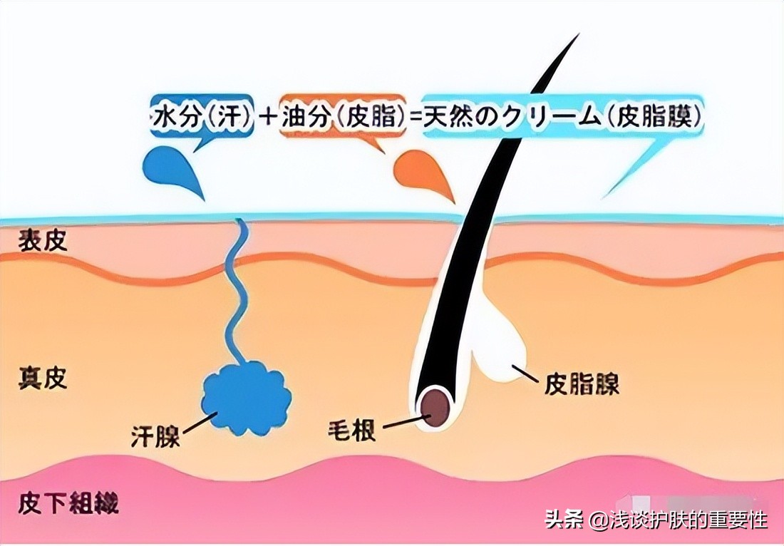 皮肤偏黄用什么护肤品能改善,皮肤容易出油用什么护肤品