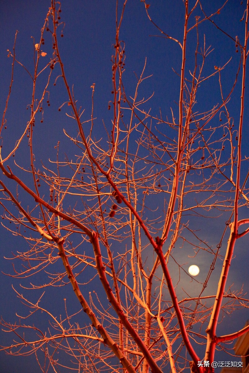 闲看“风花雪月”扰你心，坐听“雪月风花”诉断情