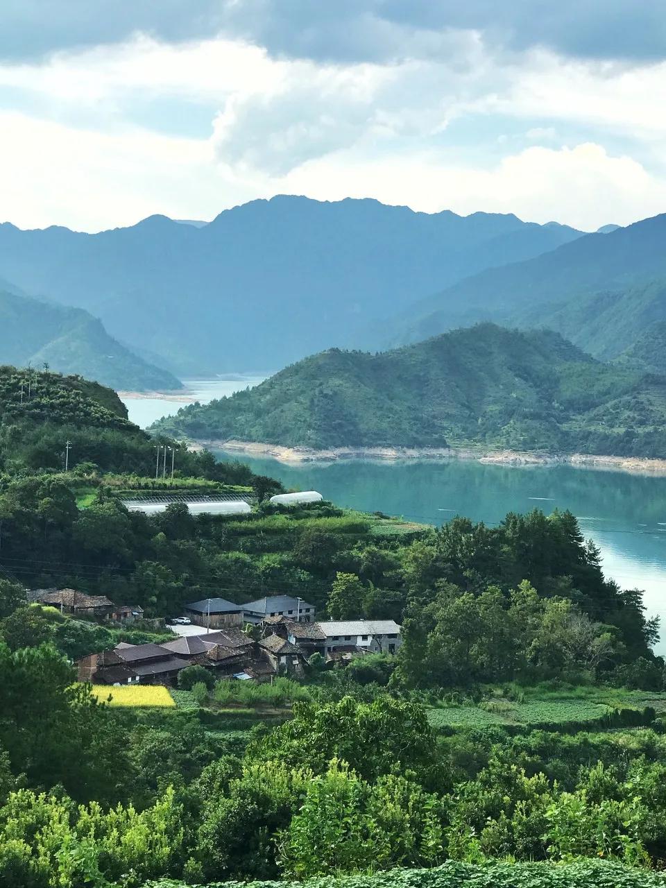 中国唯一用欧元买菜的江南小城,青田市民买菜用欧元