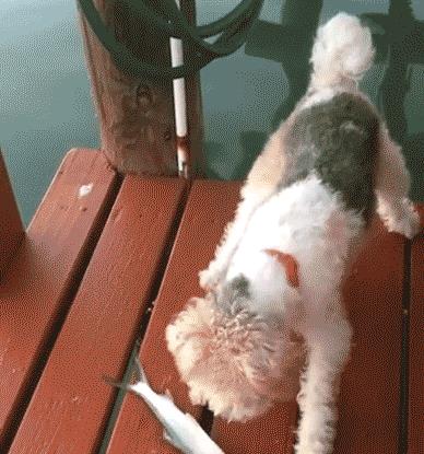 照相怎么避免眼镜反光,怎么避免眼镜反光看到电脑屏幕