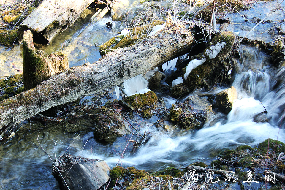 如果一生只去一个古城,一生去一次九寨沟