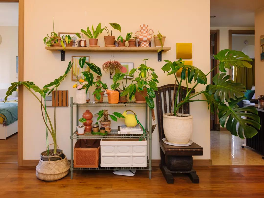 花3万元改造房子,情侣120平出租屋改造