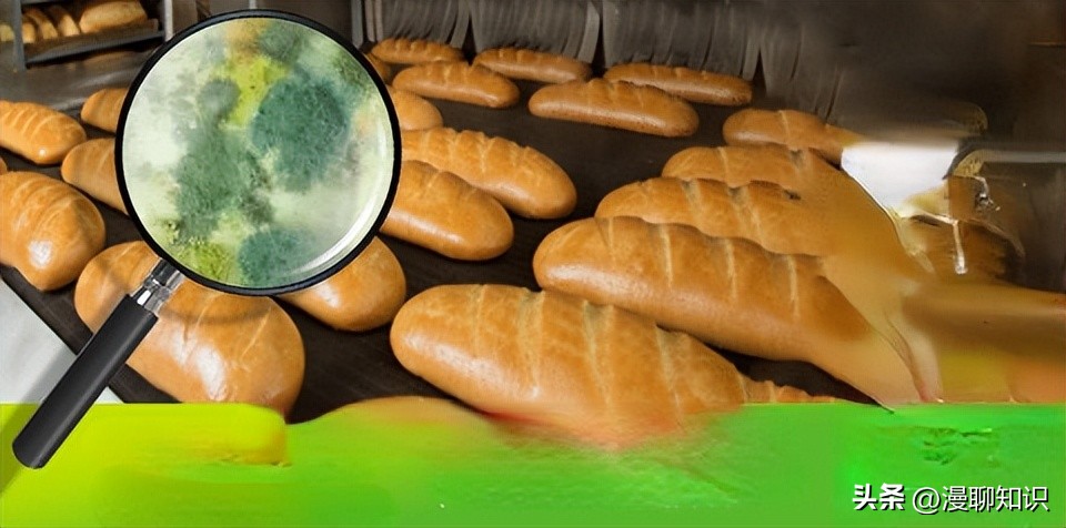 生物膜有害吗,生物膜有什么用