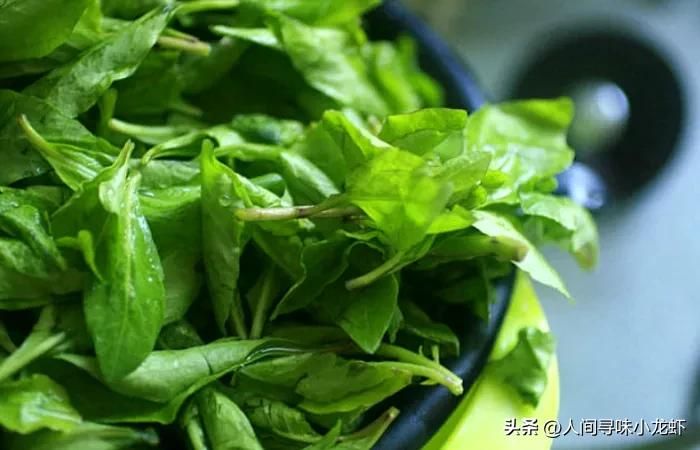 香辣枸杞头的做法,鲜嫩的枸杞头怎么吃