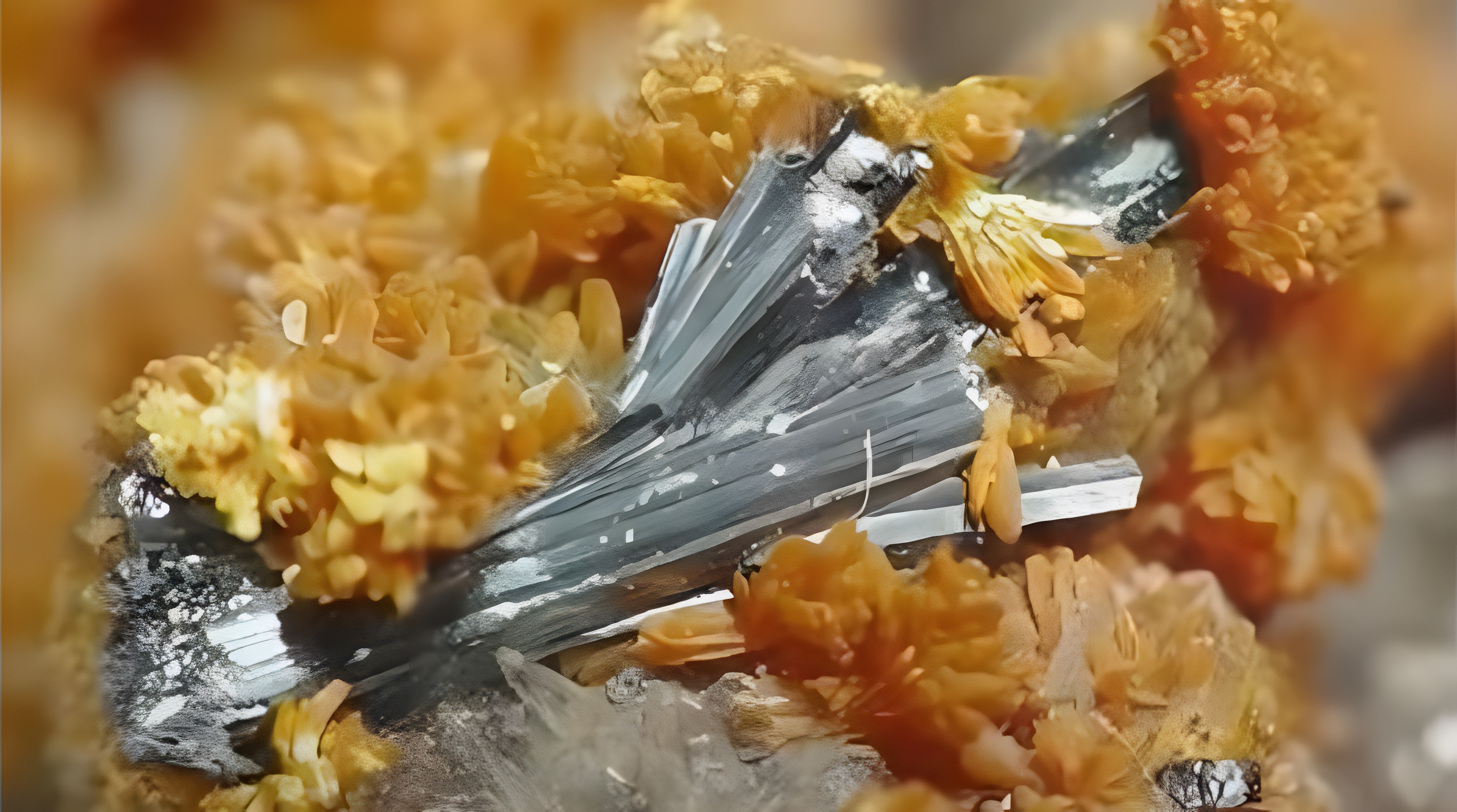 死亡佳宴、探索世界10大最致命矿石的邪恶面容