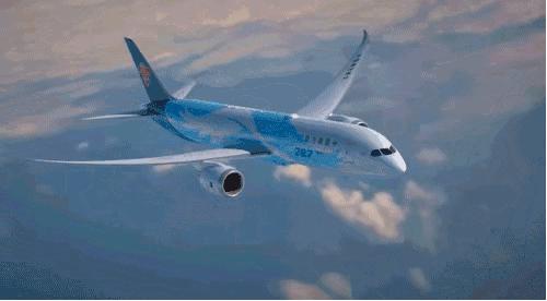 波音737每飞行1000公里成本多少,波音737-800飞行一次能赚多少钱