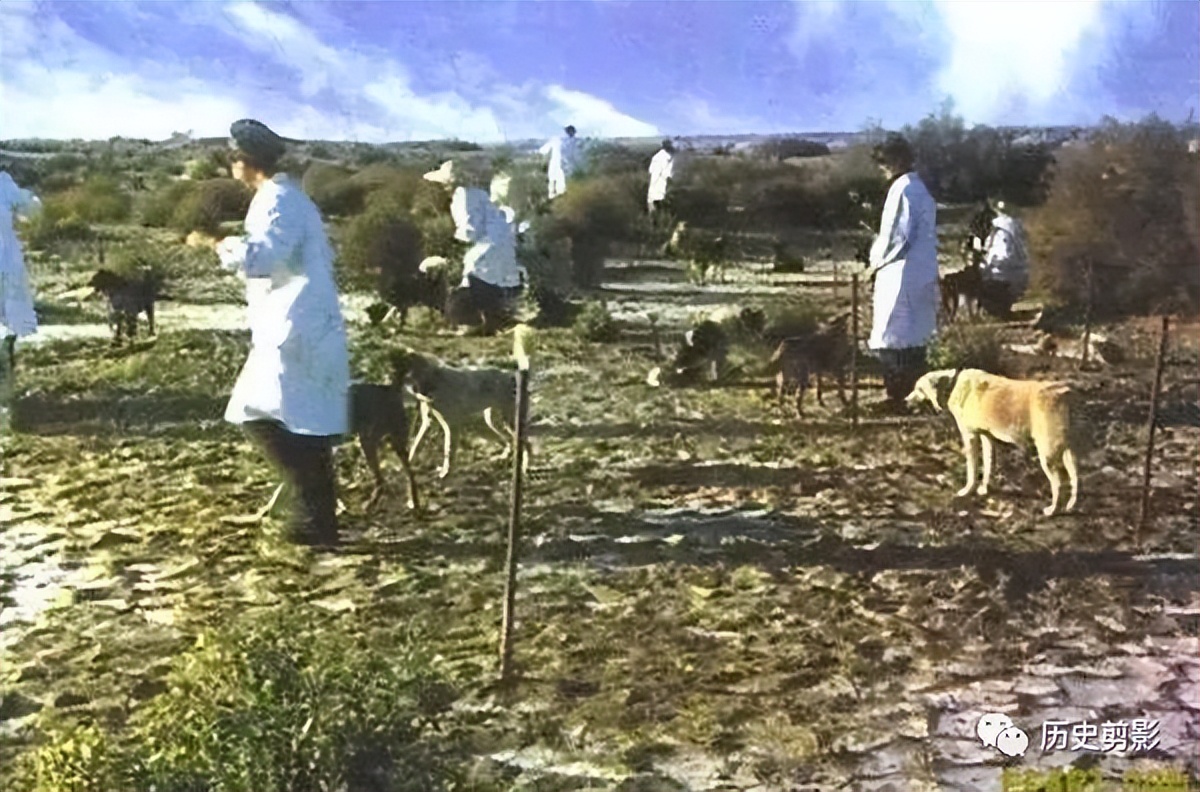 中国第一颗原子弹爆炸的时间,我国第一颗中子弹爆炸照片图文