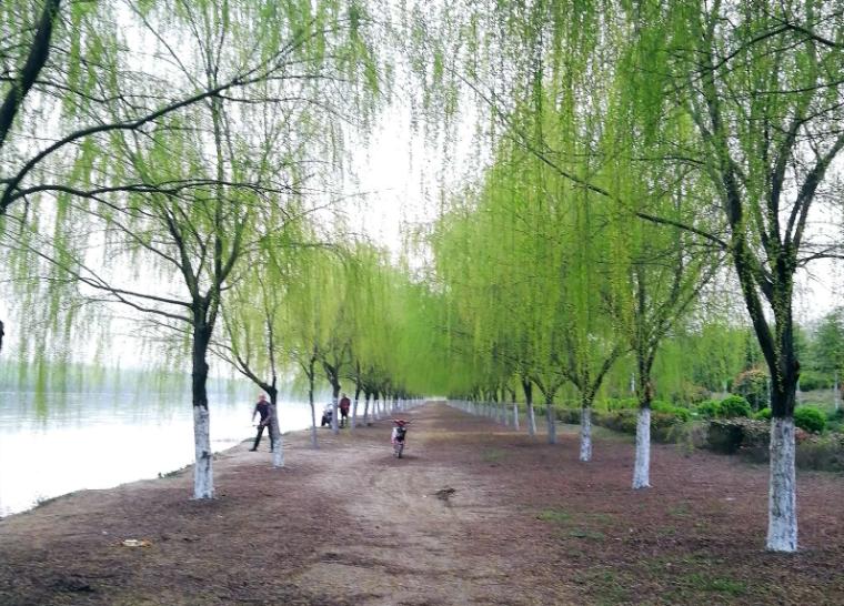 国学经典笠翁对韵原文及注释,笠翁对韵全册没有注释有生字