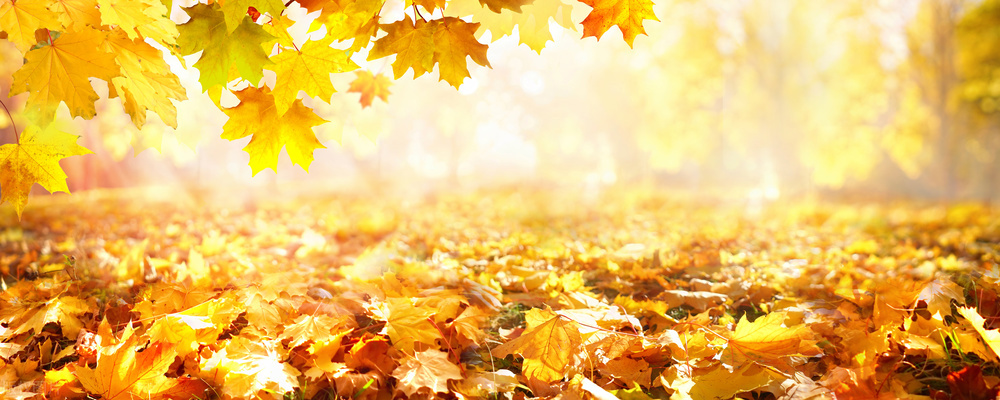 赵有福长治,赵有福新乡