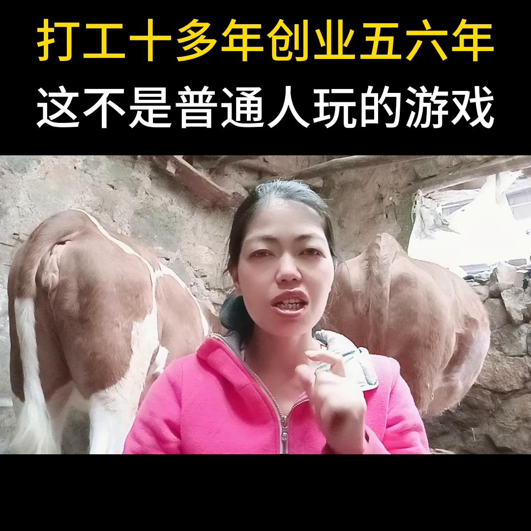 现在创业不做抖音真的不行吗,一坑又一坑