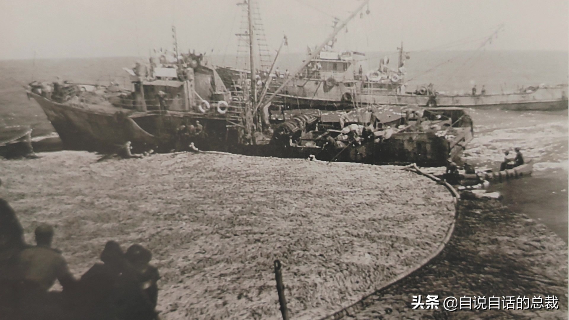 目前野生大黄鱼为什么这么贵,大黄鱼最贵价格多少钱一斤