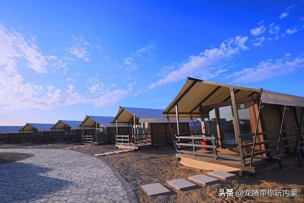 初秋额济纳胡杨林风景,额济纳秋天美景