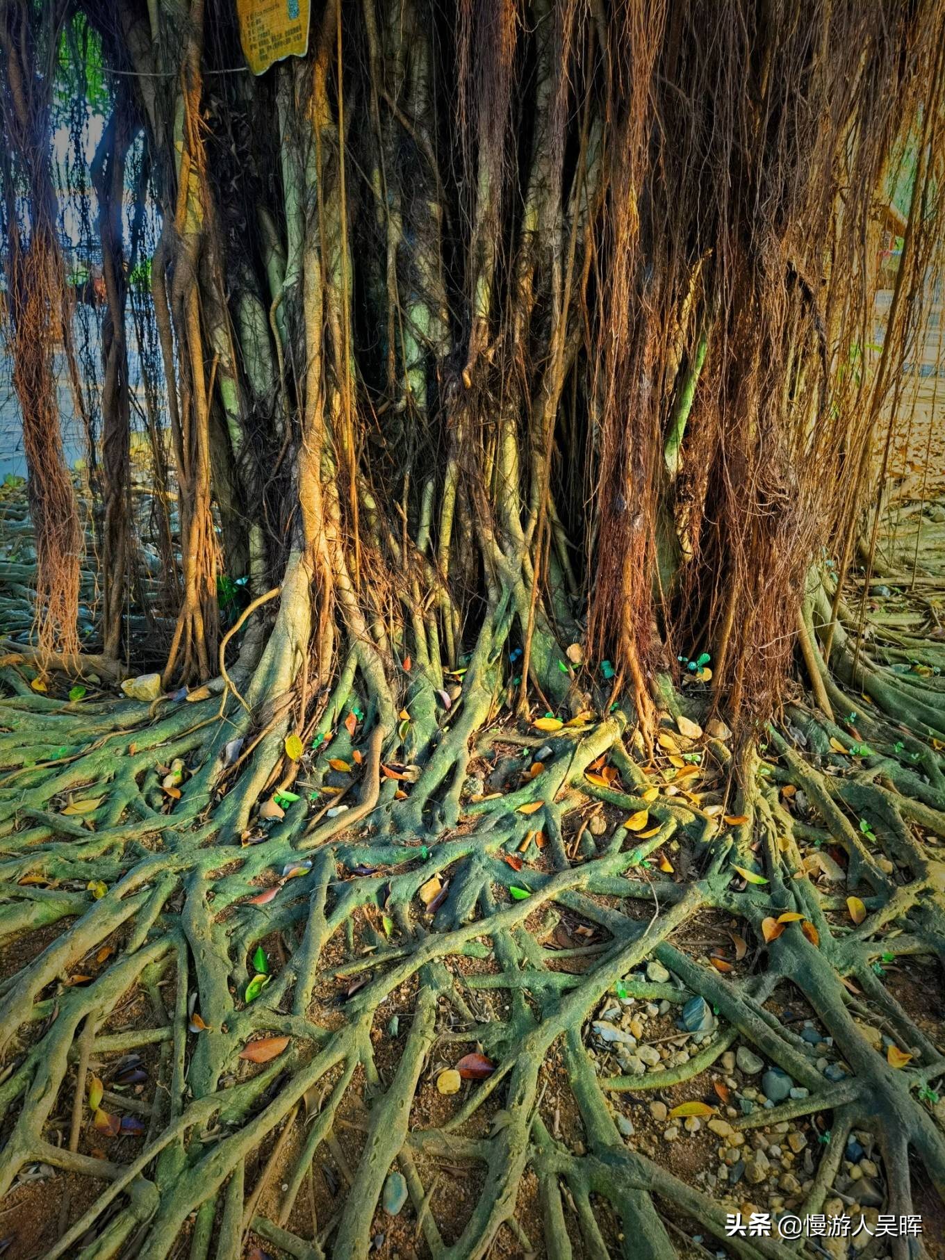 海南环岛游攻略详细行程,海南东线环岛游攻略自由行