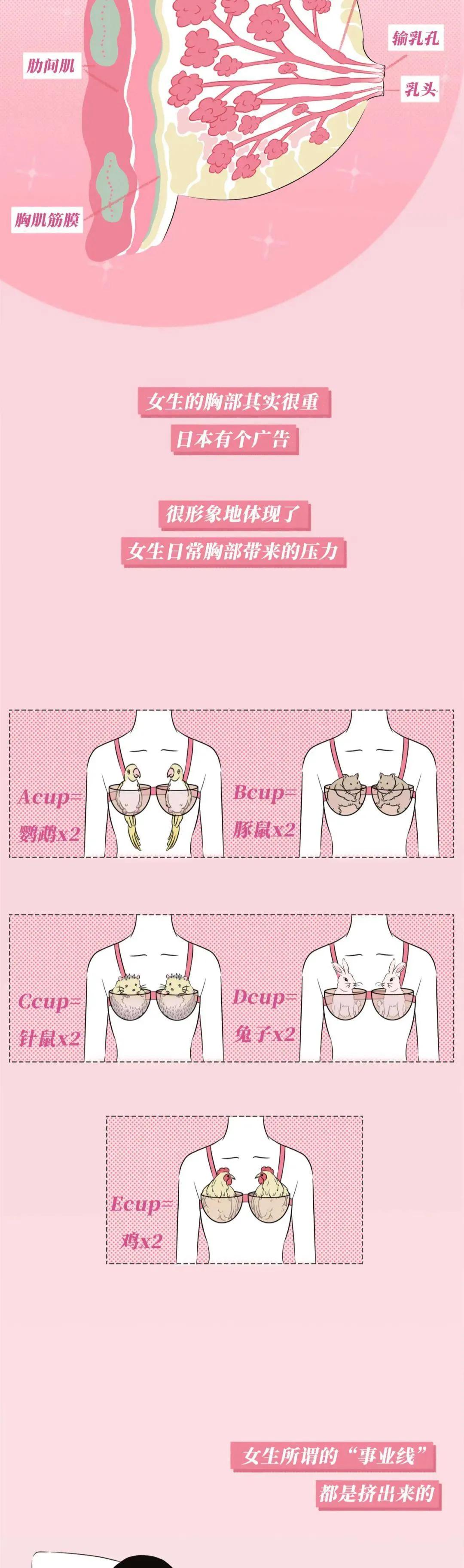 正常乳房有哪几种,乳房整形有哪几种类型