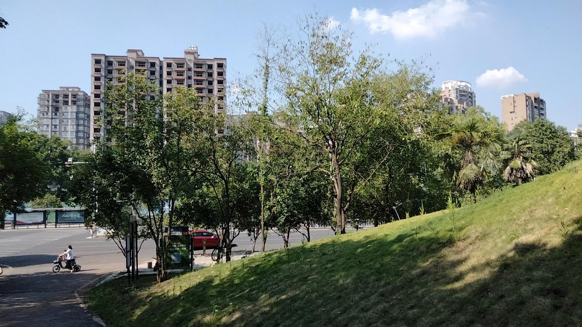 平湖明湖公园攻略,平湖公园免费景点