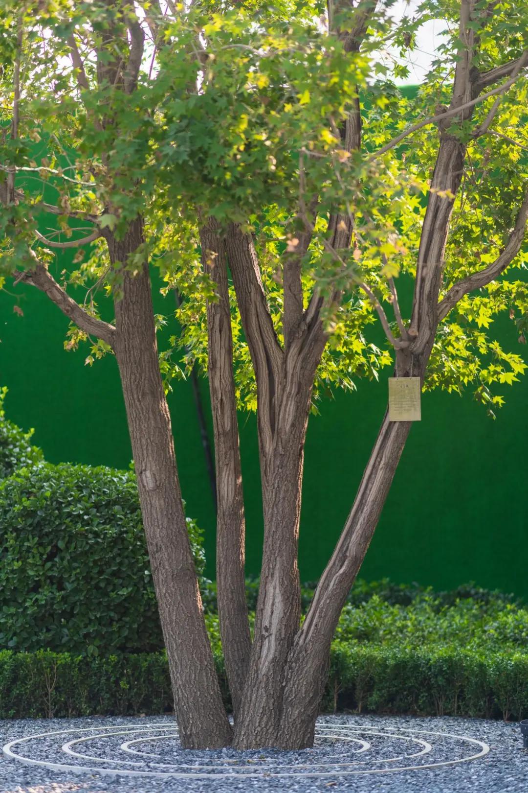 通过园林景观看一个小区是否高端,园林景观最好小区