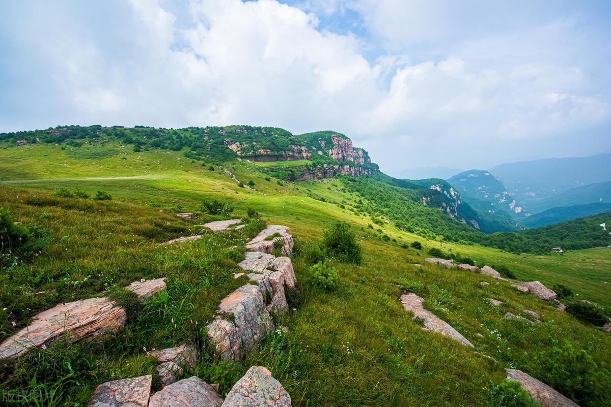 王莽岭避暑的好地方,王莽岭避暑怎么样