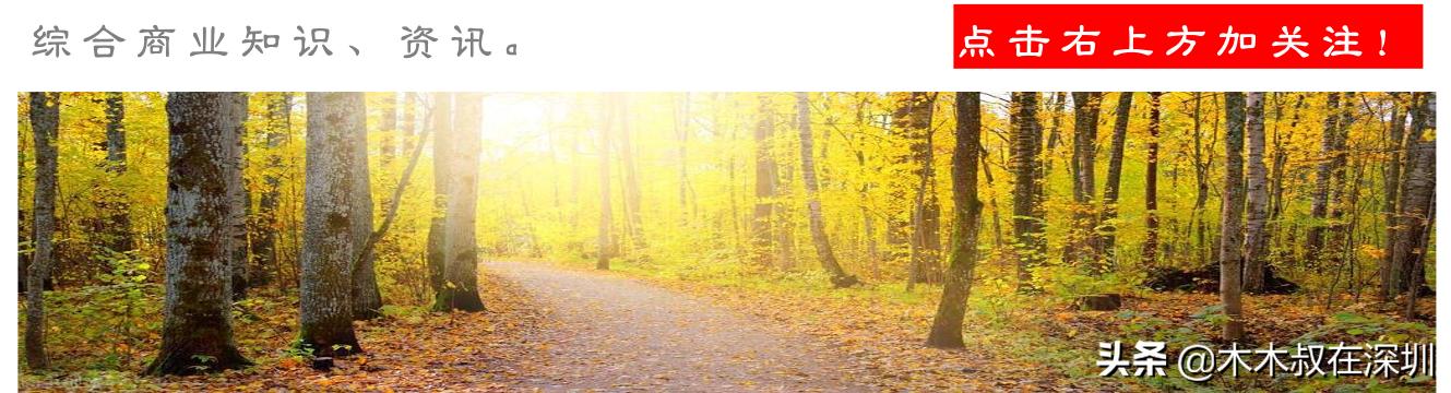 国银租赁深度分析,国银租赁行情